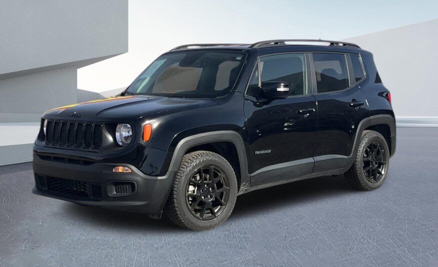 2019 Jeep Renegade